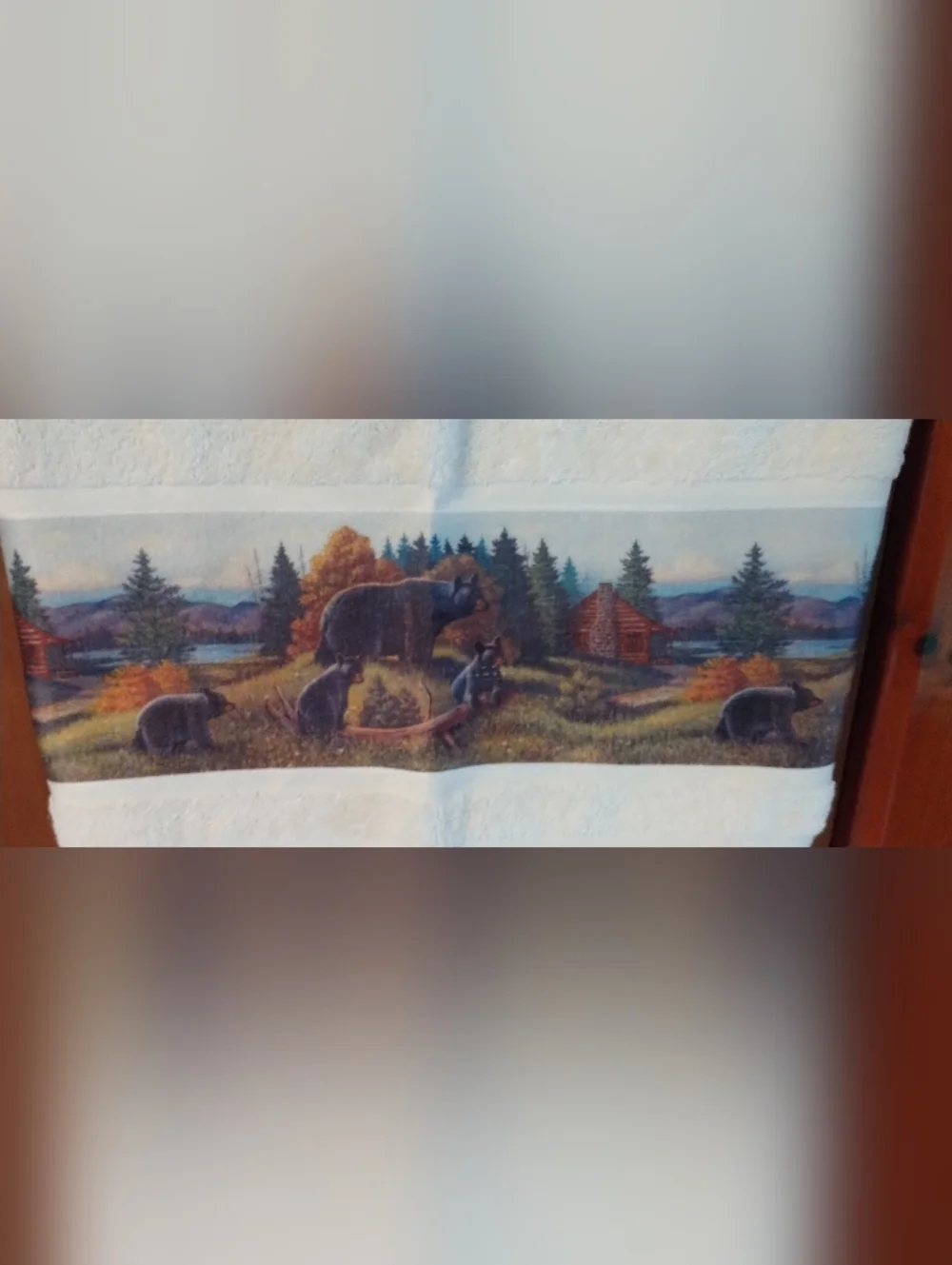Cabin Theme Shower Curtain And Bath Towel